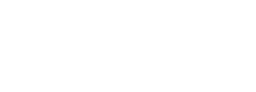11 Humans